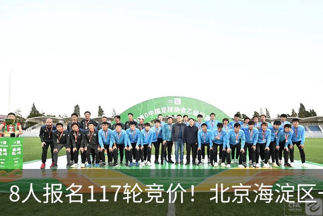 8人报名117轮竞价！北京海淀区一套豪宅拍卖，被人以1.09亿拿下